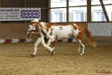 22-APHA HTB_004